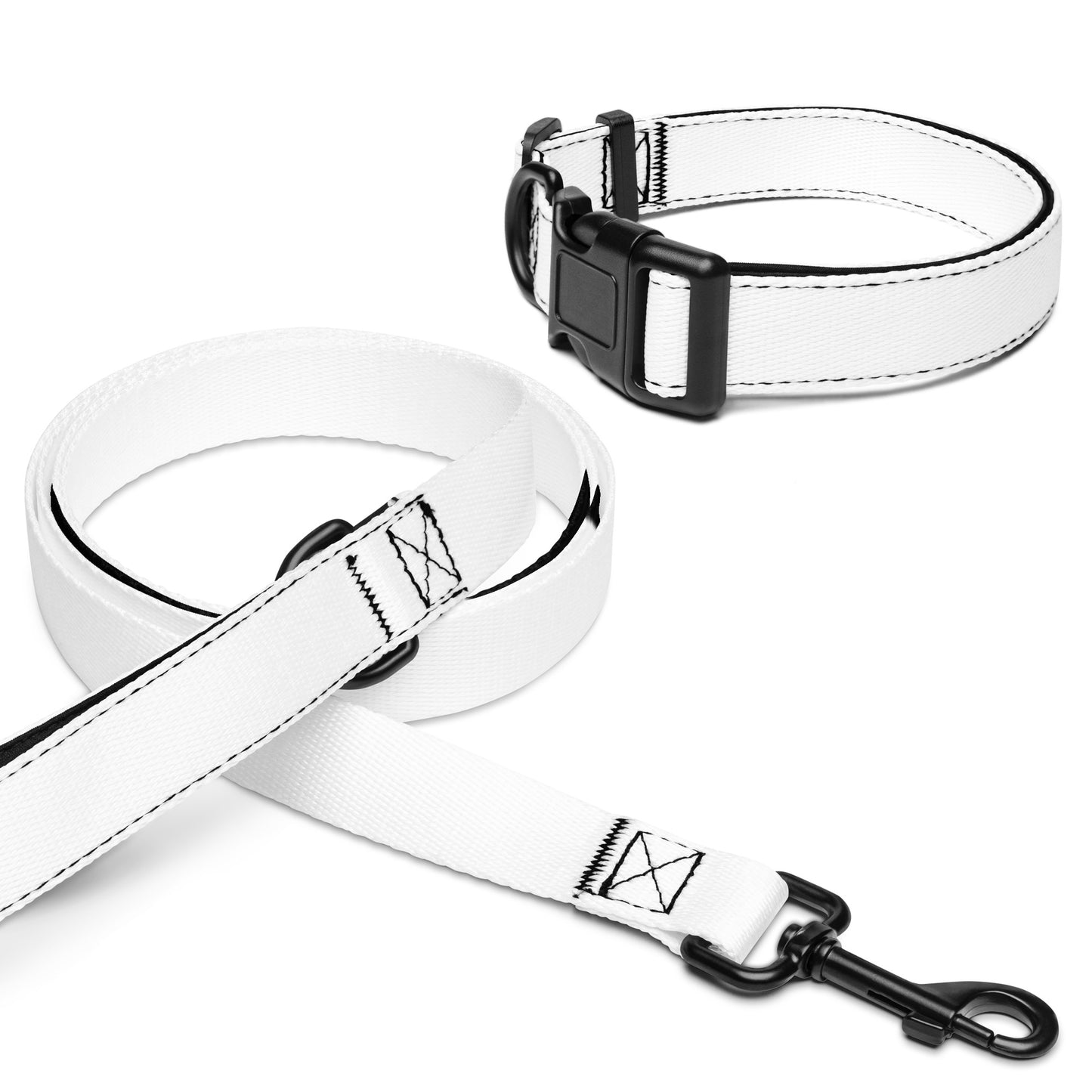 Pet collar & leash