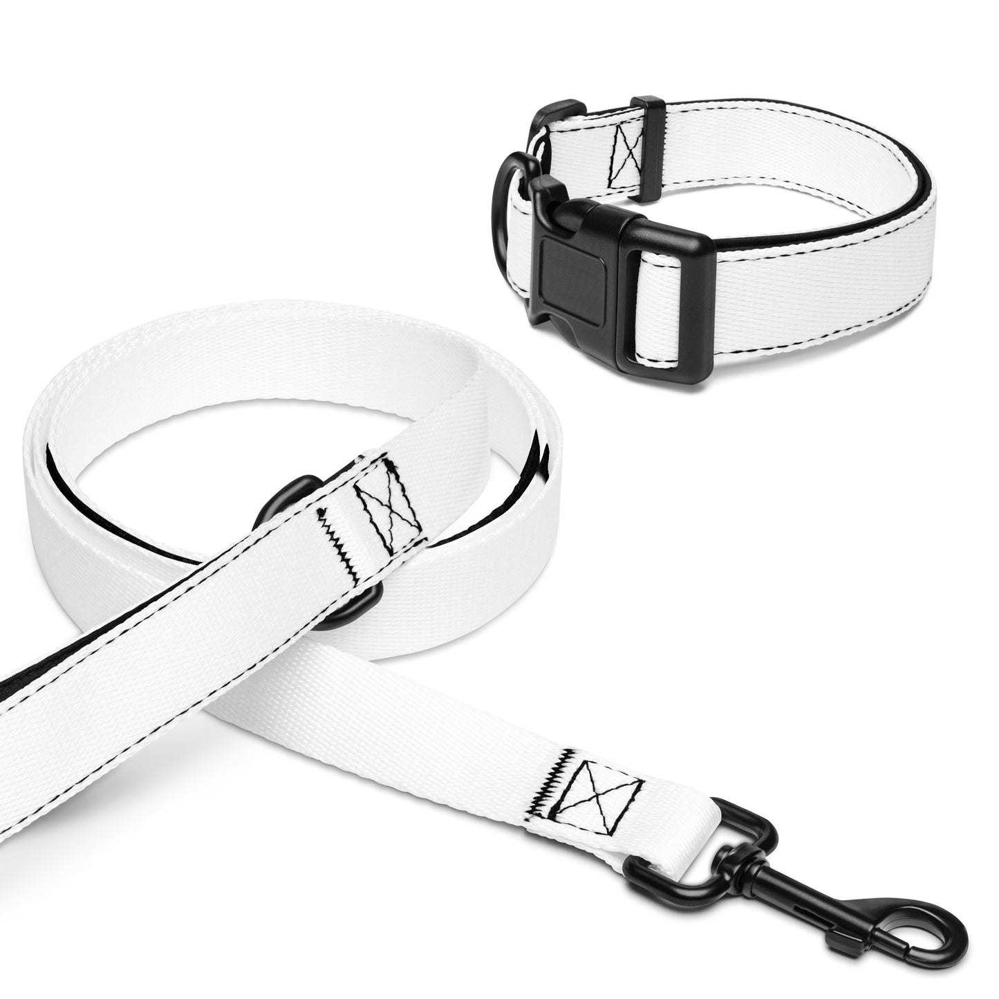 Pet collar & leash