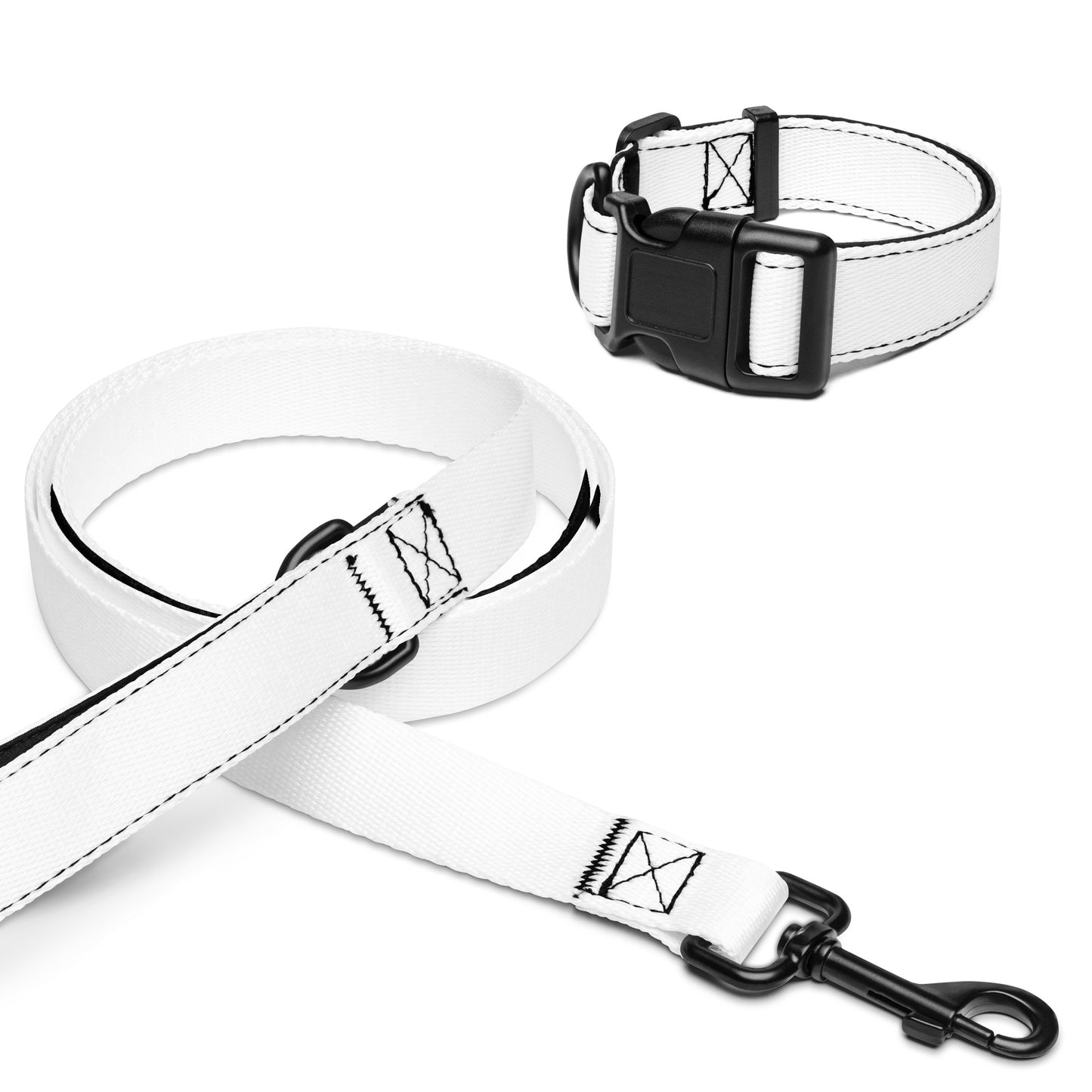 Pet collar & leash